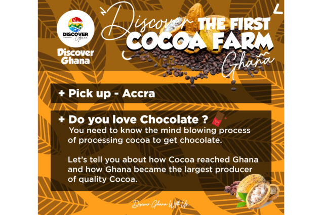 Discover the first cocoa farm